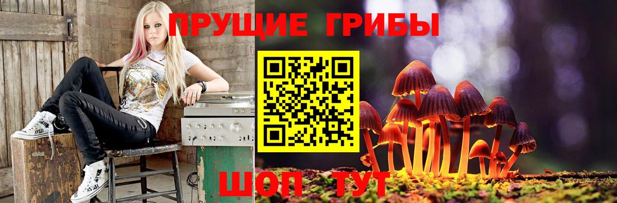 Галлюциногенные грибы Cubensis Тулун