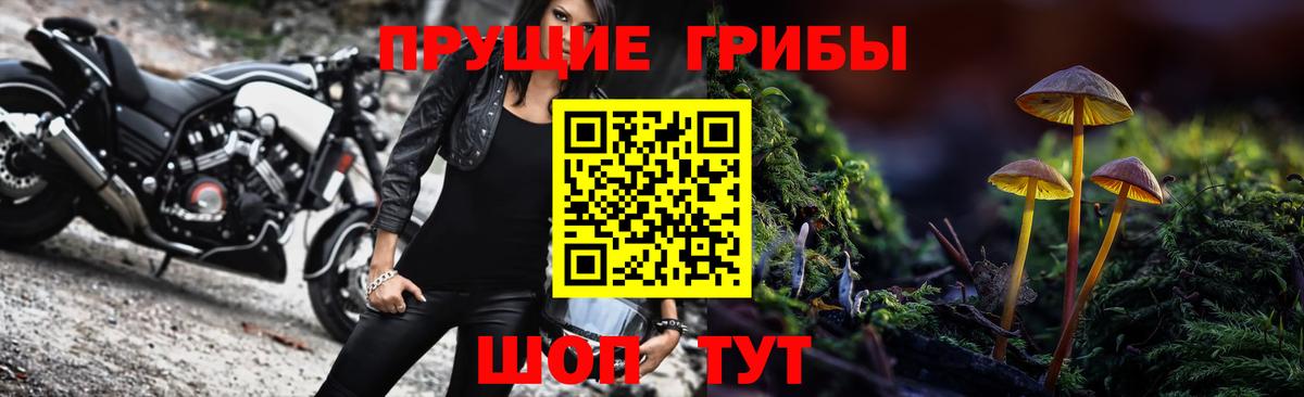 Галлюциногенные грибы прущие грибы  Вход с VPN  Псилоцибиновые грибы GOLDEN TEACHER  Тулун 